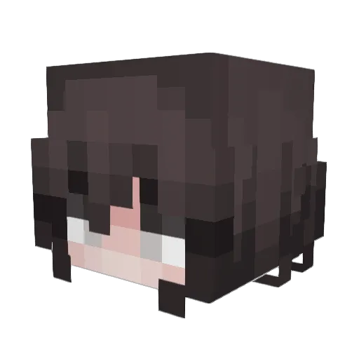 elpapupro99 Minecraft avatar head, 3D render