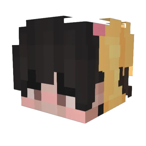 elpato2849 Minecraft avatar head, 3D render
