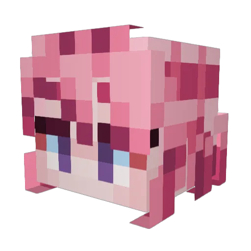 elr00 Minecraft avatar head, 3D render