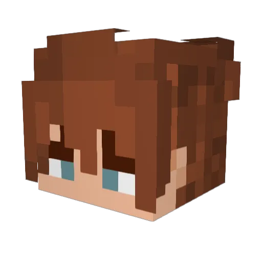 elrobertoDMC Minecraft avatar head, 3D render