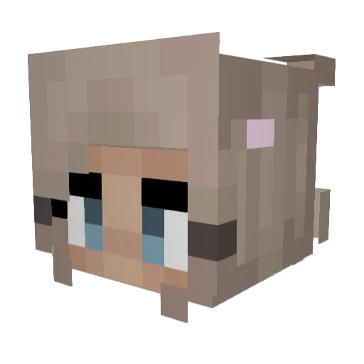 els1eee_ Minecraft avatar head, 3D render