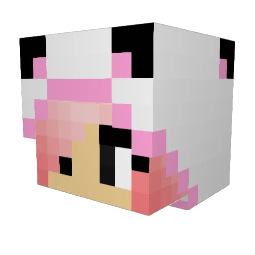 elsaingmar Minecraft avatar head, 3D render