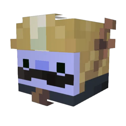elseinn Minecraft avatar head, 3D render