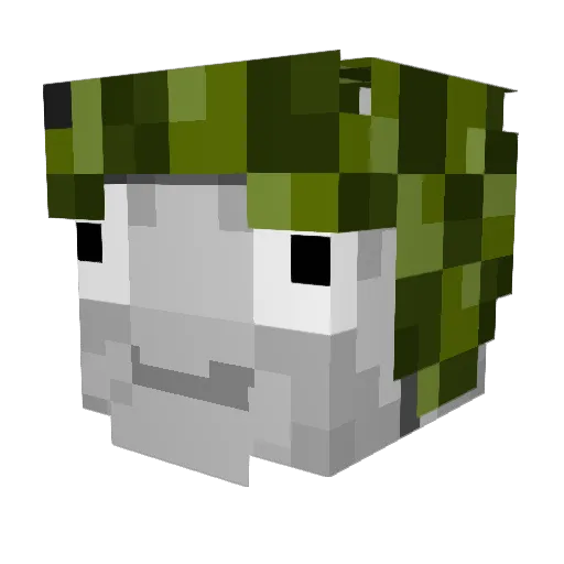 elsilver7 Minecraft avatar head, 3D render