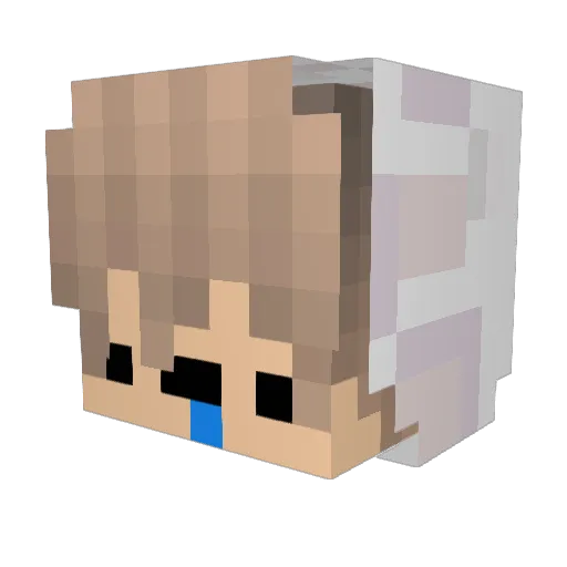 elsk Minecraft avatar head, 3D render
