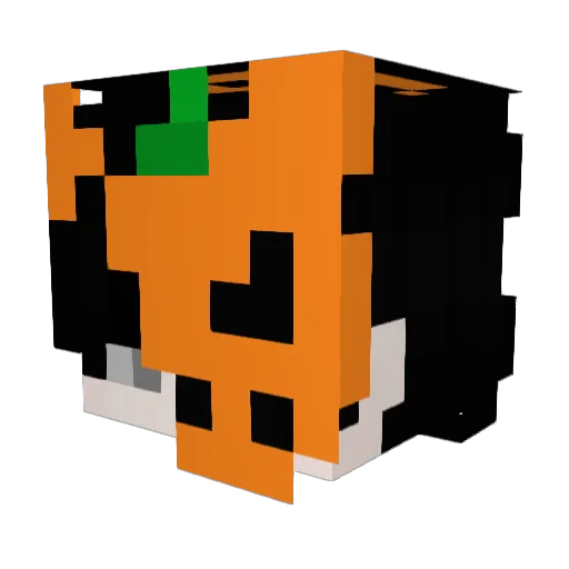 elsotr2 Minecraft avatar head, 3D render