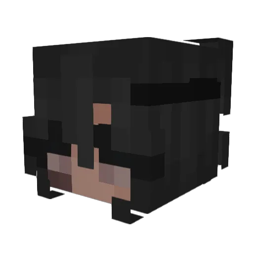 elsquisite Minecraft avatar head, 3D render
