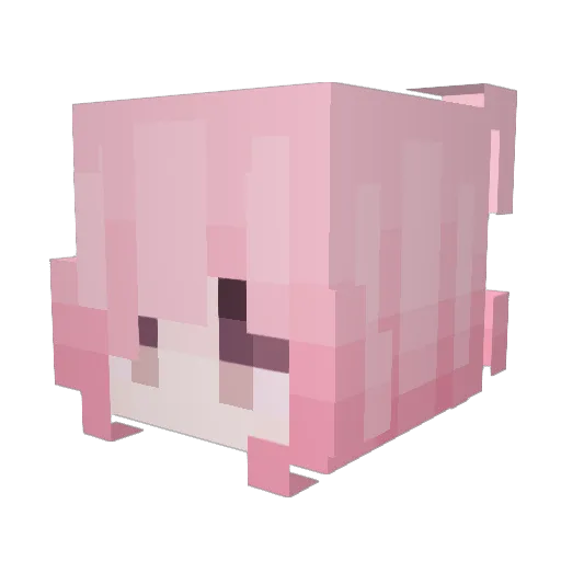 elssc Minecraft avatar head, 3D render