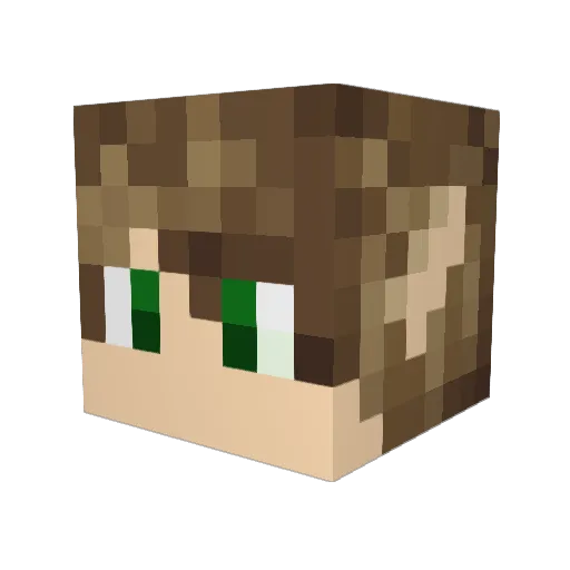 elvin10101 Minecraft avatar head, 3D render