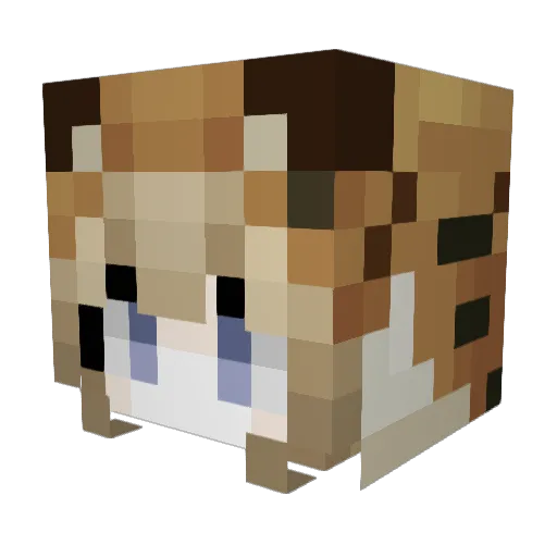 elwm Minecraft avatar head, 3D render