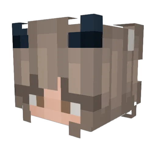 elxox Minecraft avatar head, 3D render