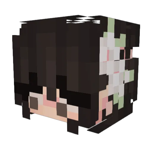 elypoo Minecraft avatar head, 3D render