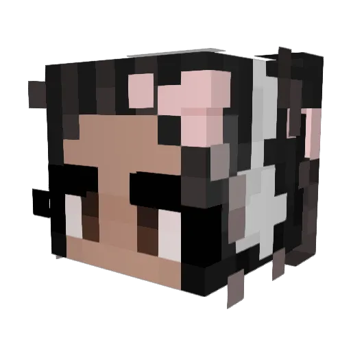 elyshqbee Minecraft avatar head, 3D render