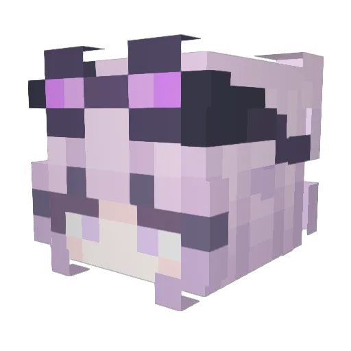 elysian_halcyon Minecraft avatar head, 3D render