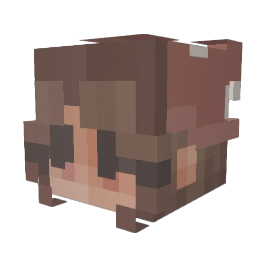 elysiumblooms Minecraft avatar head, 3D render