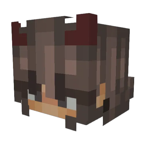 elyssa3244 Minecraft avatar head, 3D render