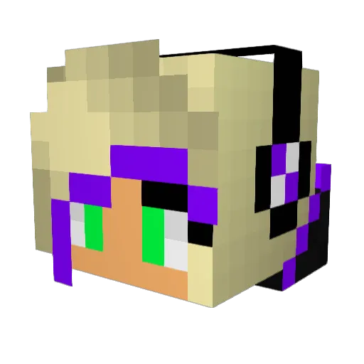 elza2013 Minecraft avatar head, 3D render
