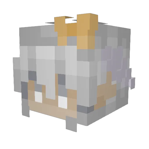 em14_ Minecraft avatar head, 3D render