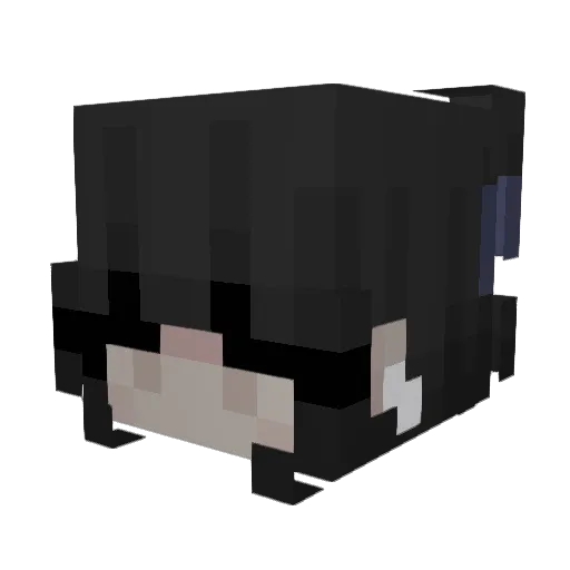em44n Minecraft avatar head, 3D render