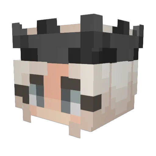 emShadow Minecraft avatar head, 3D render