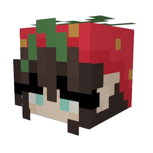 em_665 Minecraft avatar head, 3D render