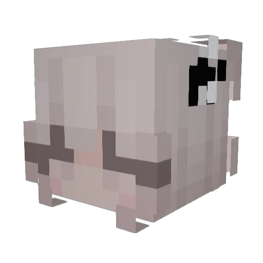 em_anne Minecraft avatar head, 3D render