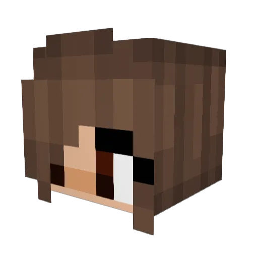 em_ily_owo Minecraft avatar head, 3D render