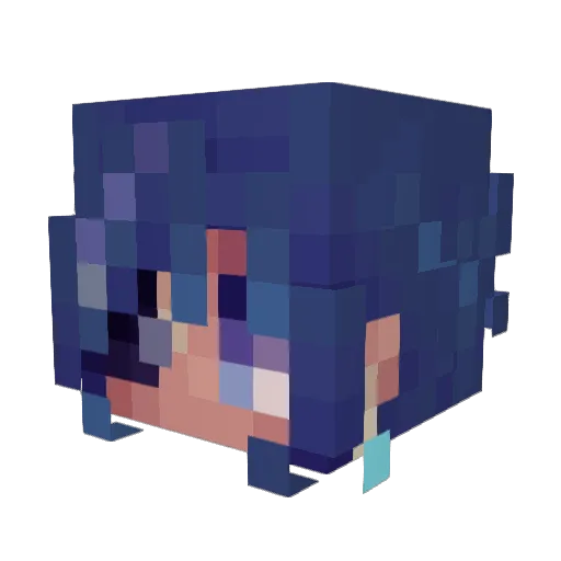 emaanrocks0505 Minecraft avatar head, 3D render