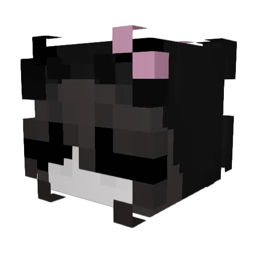 emag124 Minecraft avatar head, 3D render