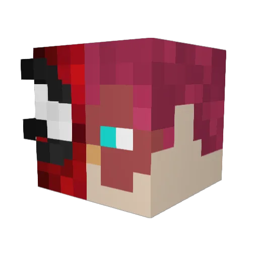 emblemDIOR Minecraft avatar head, 3D render