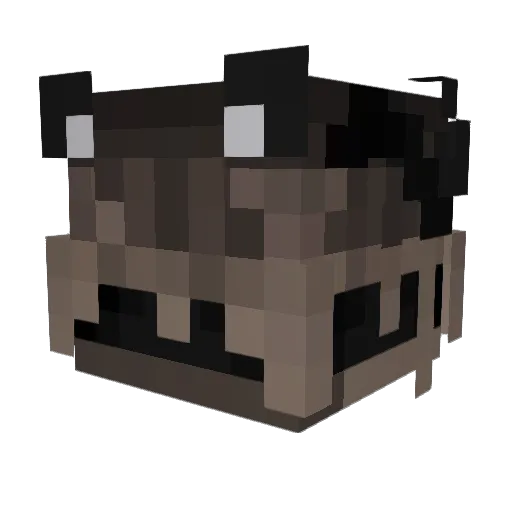 embushs Minecraft avatar head, 3D render