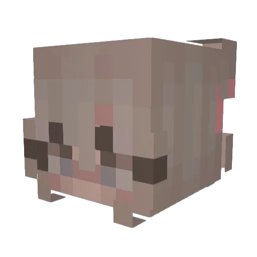 emeliagracexx Minecraft avatar head, 3D render