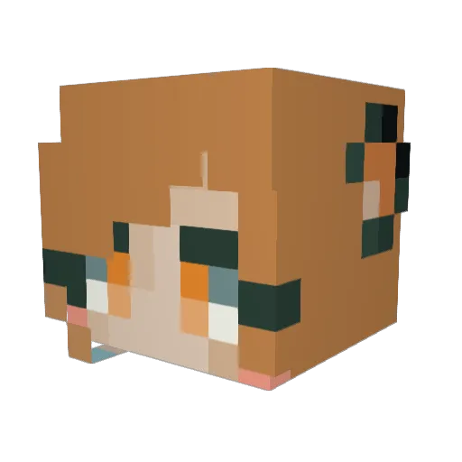 emergencybirds Minecraft avatar head, 3D render