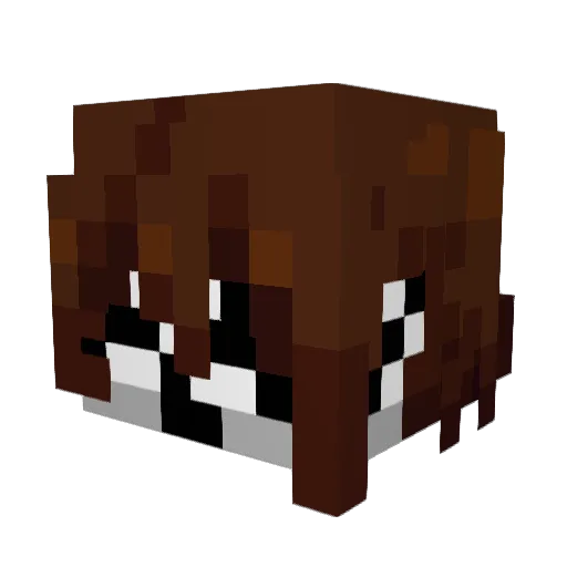 emerykills1 Minecraft avatar head, 3D render