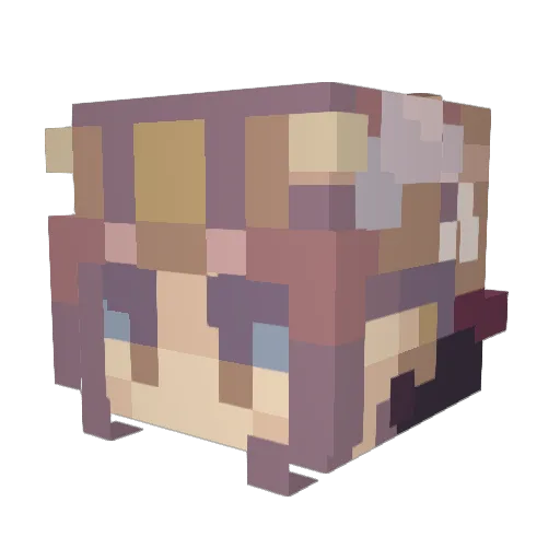 emhunt21 Minecraft avatar head, 3D render