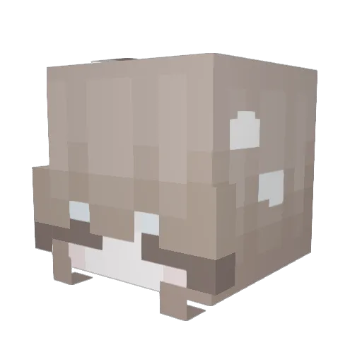 emi_dawn Minecraft avatar head, 3D render