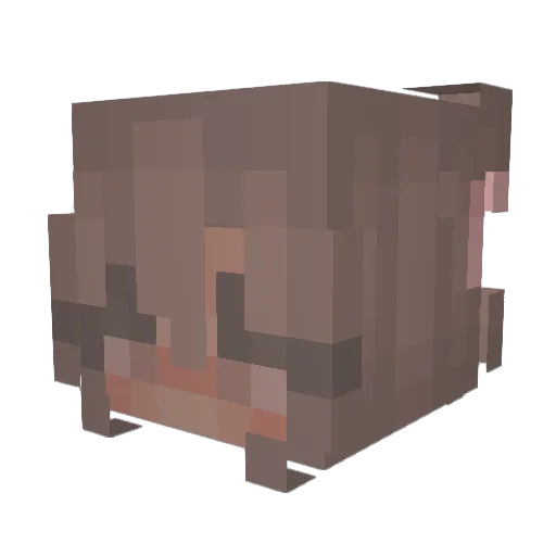 emi_ly__ Minecraft avatar head, 3D render