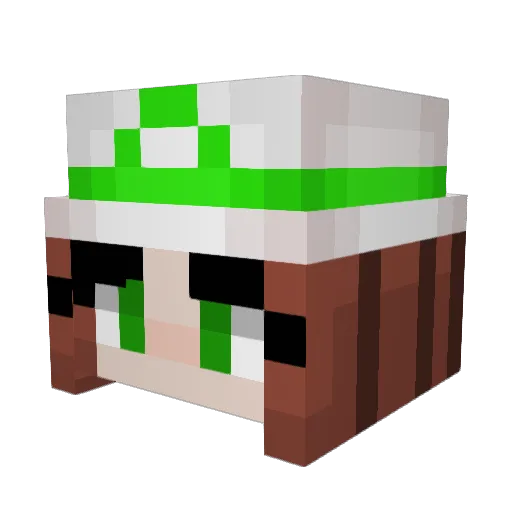 emi_tomato Minecraft avatar head, 3D render