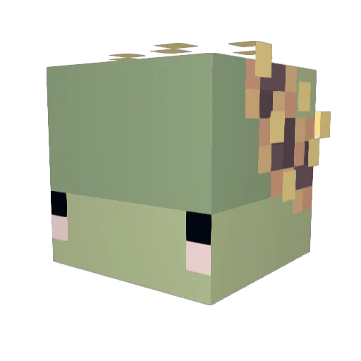 emibaobun Minecraft avatar head, 3D render