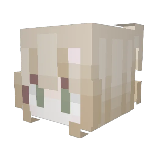 emibear9 Minecraft avatar head, 3D render