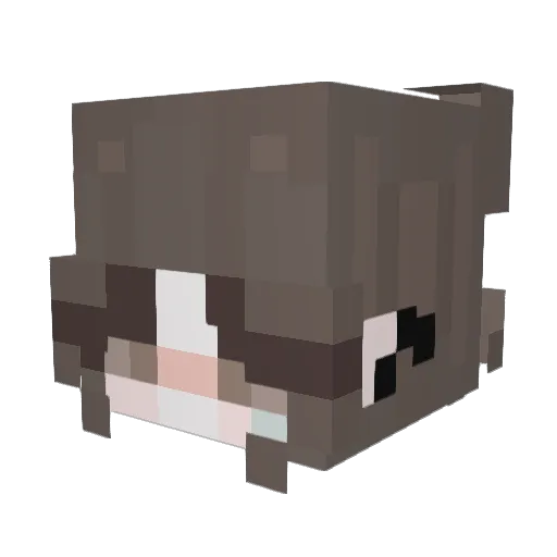 emiboi_ Minecraft avatar head, 3D render