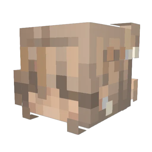 emikco Minecraft avatar head, 3D render