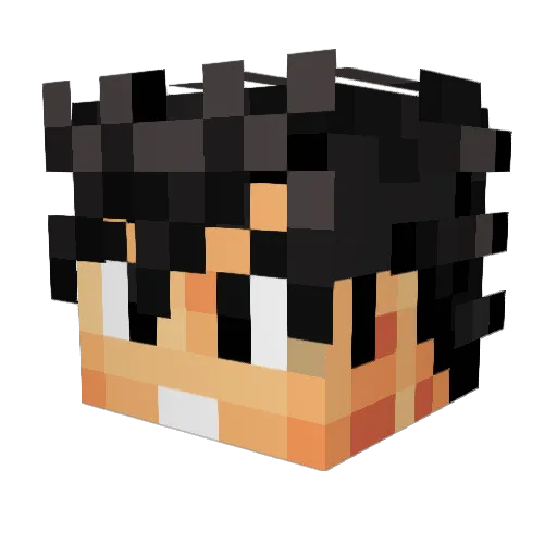 emil2810 Minecraft avatar head, 3D render