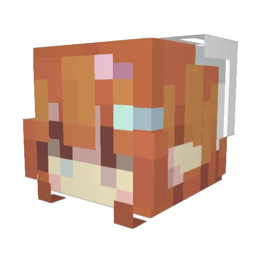 emilie0210 Minecraft avatar head, 3D render