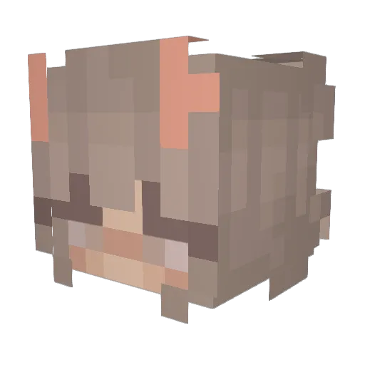 emilie34 Minecraft avatar head, 3D render