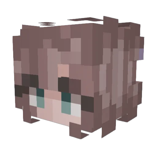 emilien55555 Minecraft avatar head, 3D render