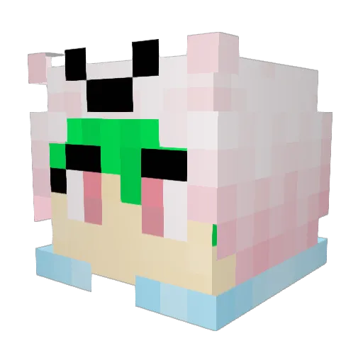 emily0428 Minecraft avatar head, 3D render