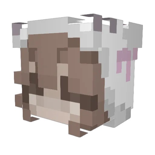 emily_mort Minecraft avatar head, 3D render