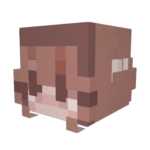 emily_schmemily Minecraft avatar head, 3D render