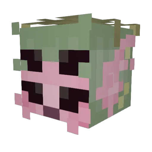 emilylovesderpy Minecraft avatar head, 3D render